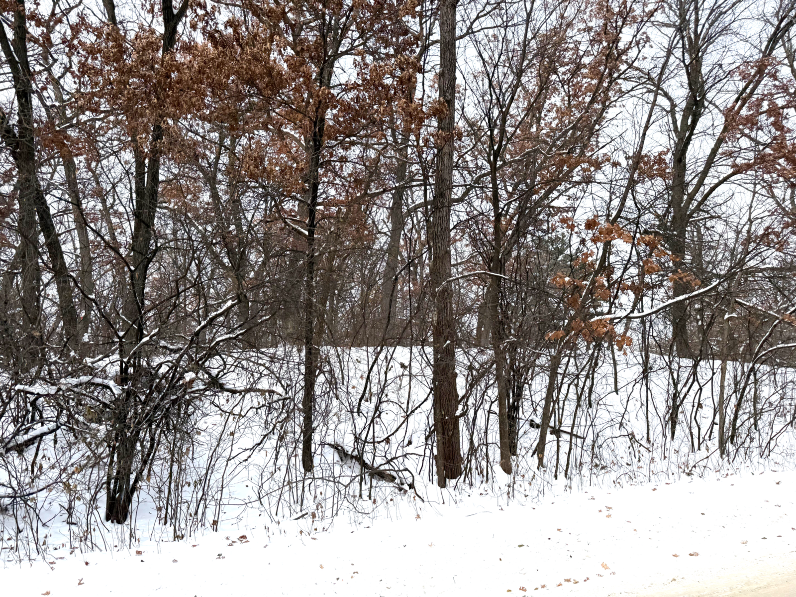 Property Photo: 381 Totem Road MN 55119