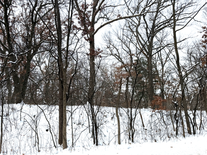 Property Photo: 371 Totem Road MN 55119