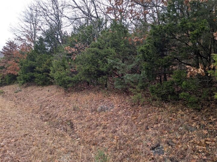 Property Photo:  Tbd Starlite Avenue  AR 72631 