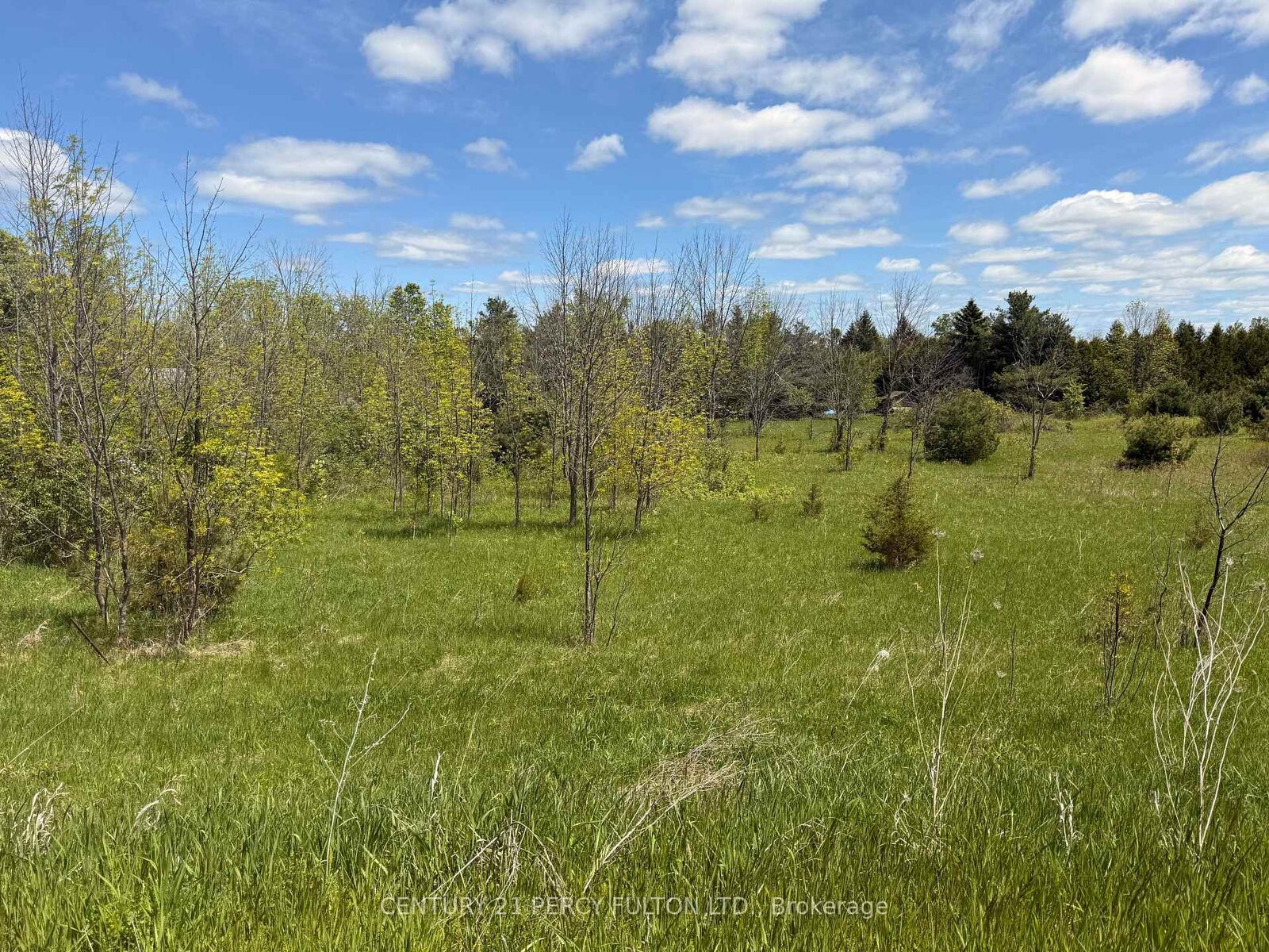Property Photo:  Lot 55 County Rd 25 N/A  ON K0K 3K0 