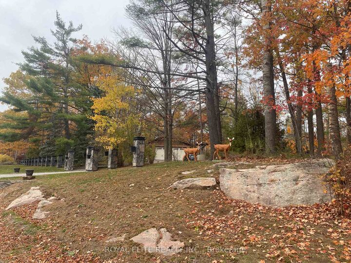 Property Photo:  2943 County Rd 36 N/A  ON K0L 1J0 