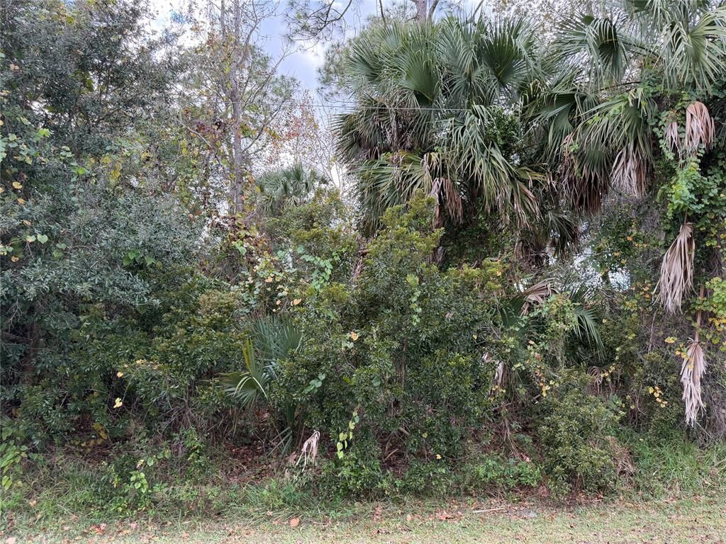 Property Photo:  22 Westglen Lane  FL 32164 