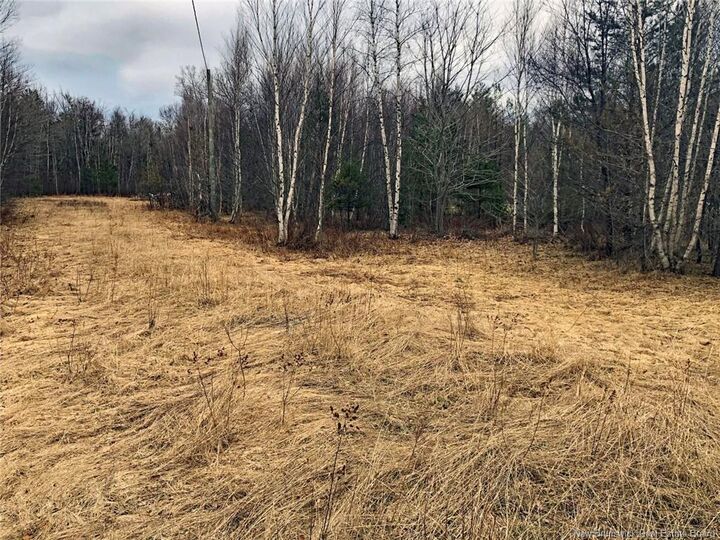 Property Photo:  320 Pleasant Drive  NB  