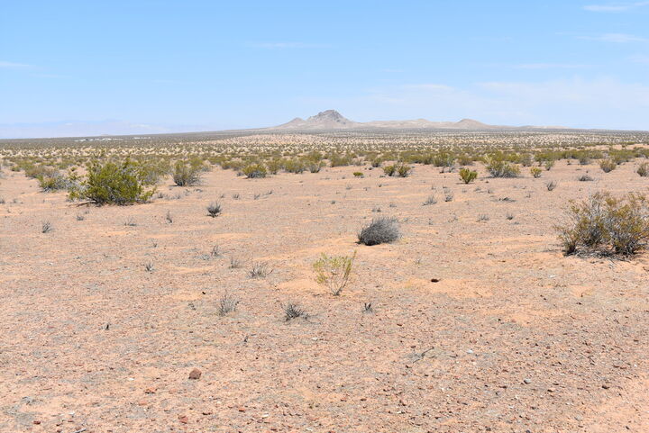 Property Photo:  160th St E And S/O Joshua Blvd  CA 93523 