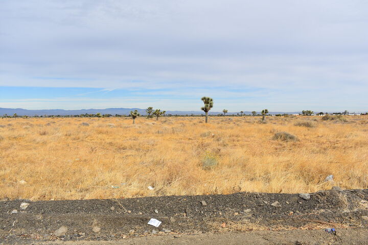 Property Photo:  15th St W And Ave N  CA 93551 