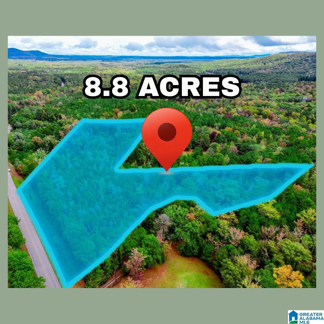 Property Photo:  0 Bear Creek Road 0  AL 35147 