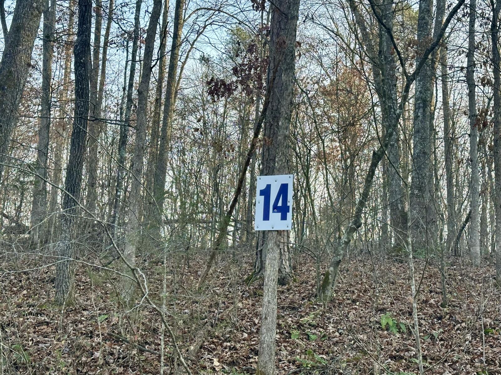 Property Photo:  Lot 14 Hensley Road  KY 40729 