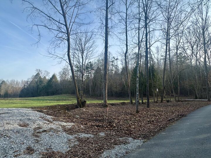Property Photo:  Lot 4 Radford Road  KY 40729 