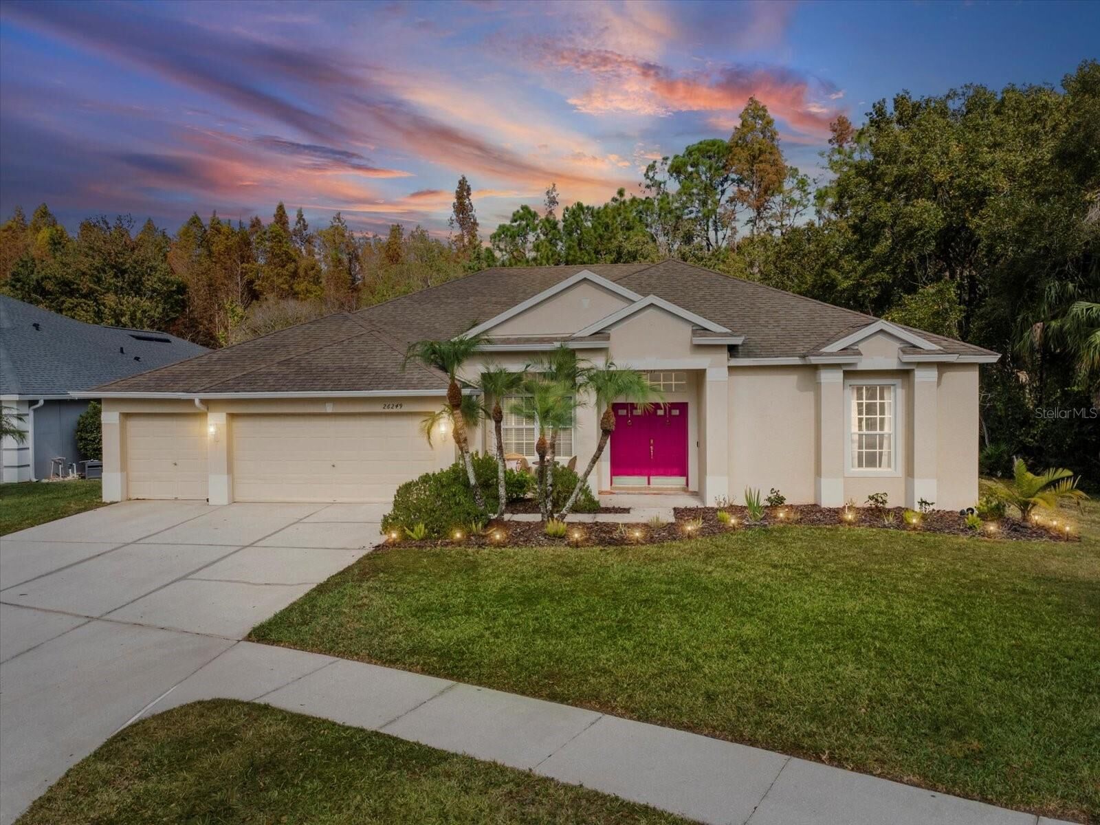 Property Photo:  26249 Sword Dancer Drive  FL 33544 