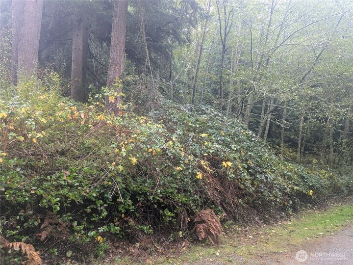 Property Photo: 0 Xxx Jewett Road WA 98236