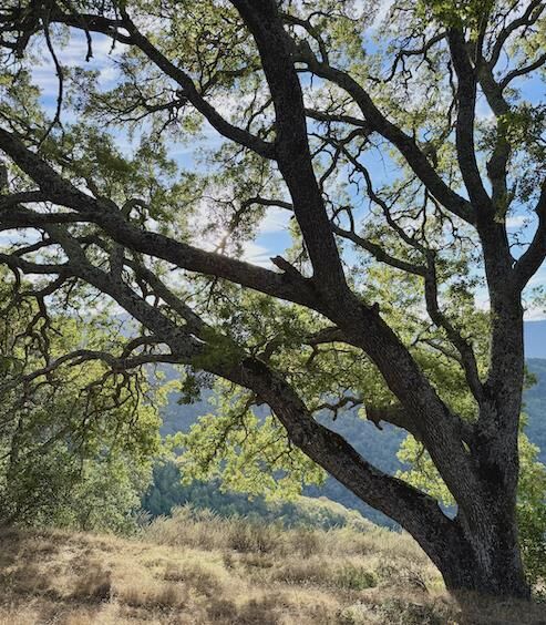 Property Photo:  0 Via Vespero  CA 95120 