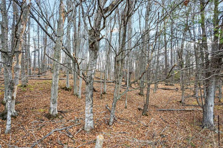 Property Photo: Pt 2-00 Herron Mills Road ON K0G 1K0