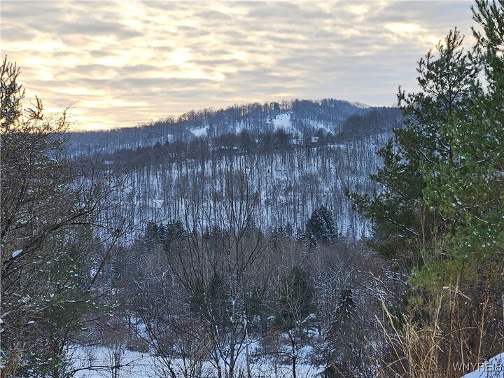 Property Photo:  48 Mill Street  NY 14731 