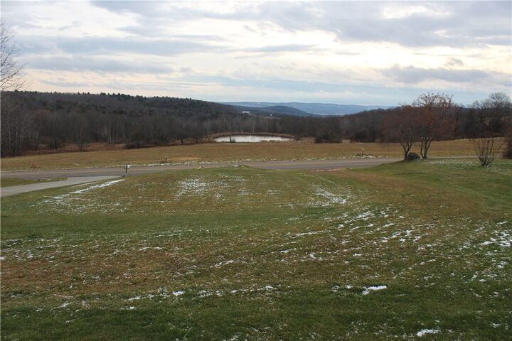 Property Photo:  99 Pine Valley Road  NY 14872 