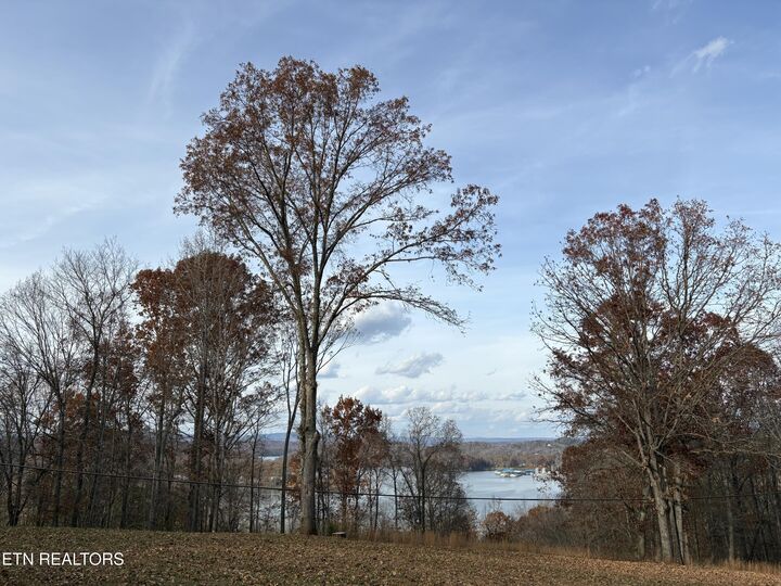 Property Photo: 136 Hillview Rd TN 37880