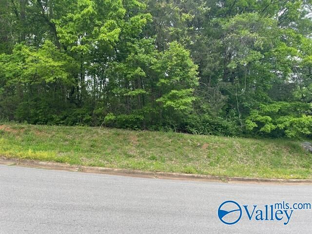 Property Photo: 4000 Juniper Drive AL 35810