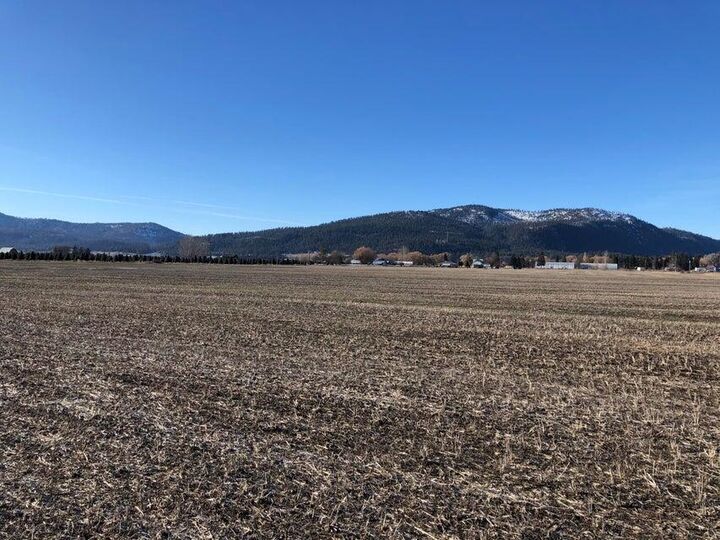 Xxx 5th St E  Chewelah WA 99109 photo