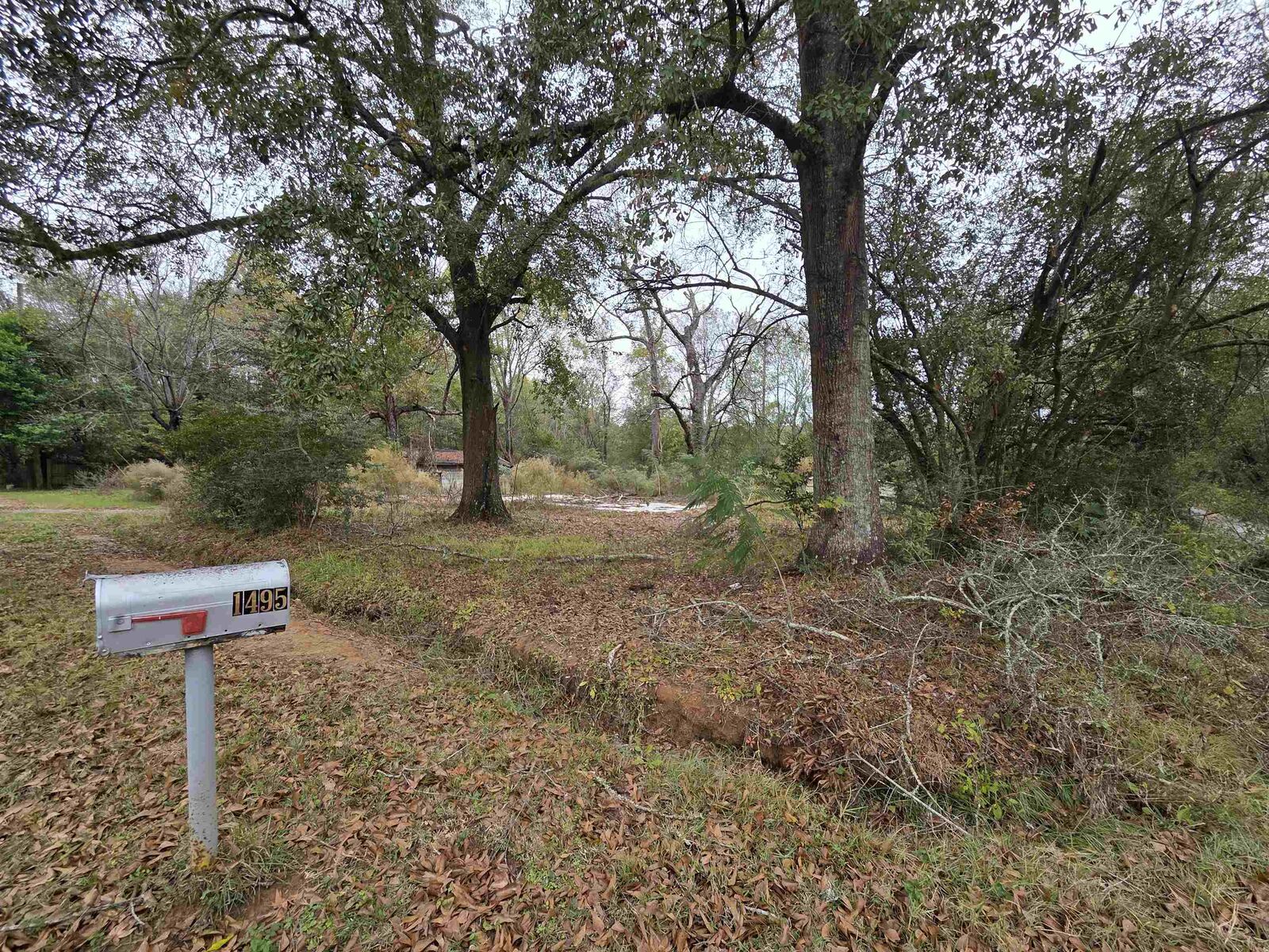 Property Photo:  1485 Dogwood Dr  TX 77662 