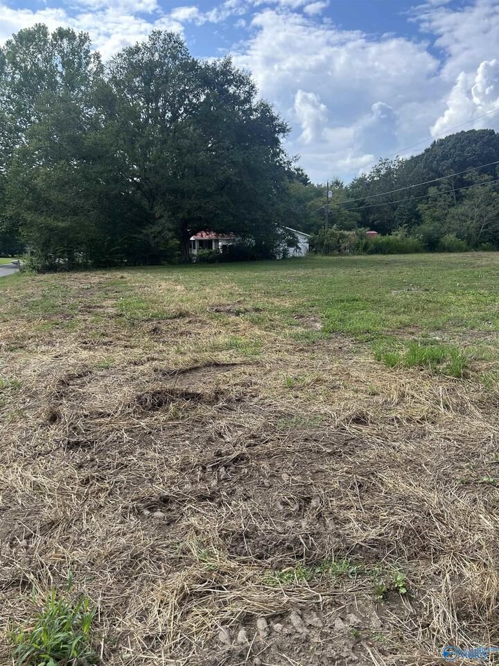 Property Photo: 741 Haynes Road NE AL 35016