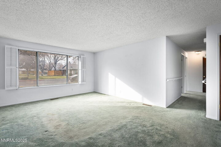 Property Photo: 1029 Brooktree Drive NV 89434