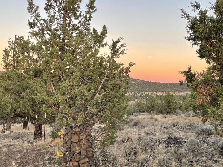 Property Photo: 14751 SE Browning Street OR 97754