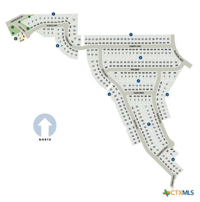 Property Photo:  3007 Nash Drive  TX 78132 