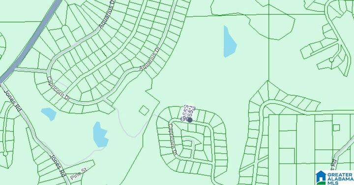 Property Photo:  0 Constellation Avenue None  AL 35014 