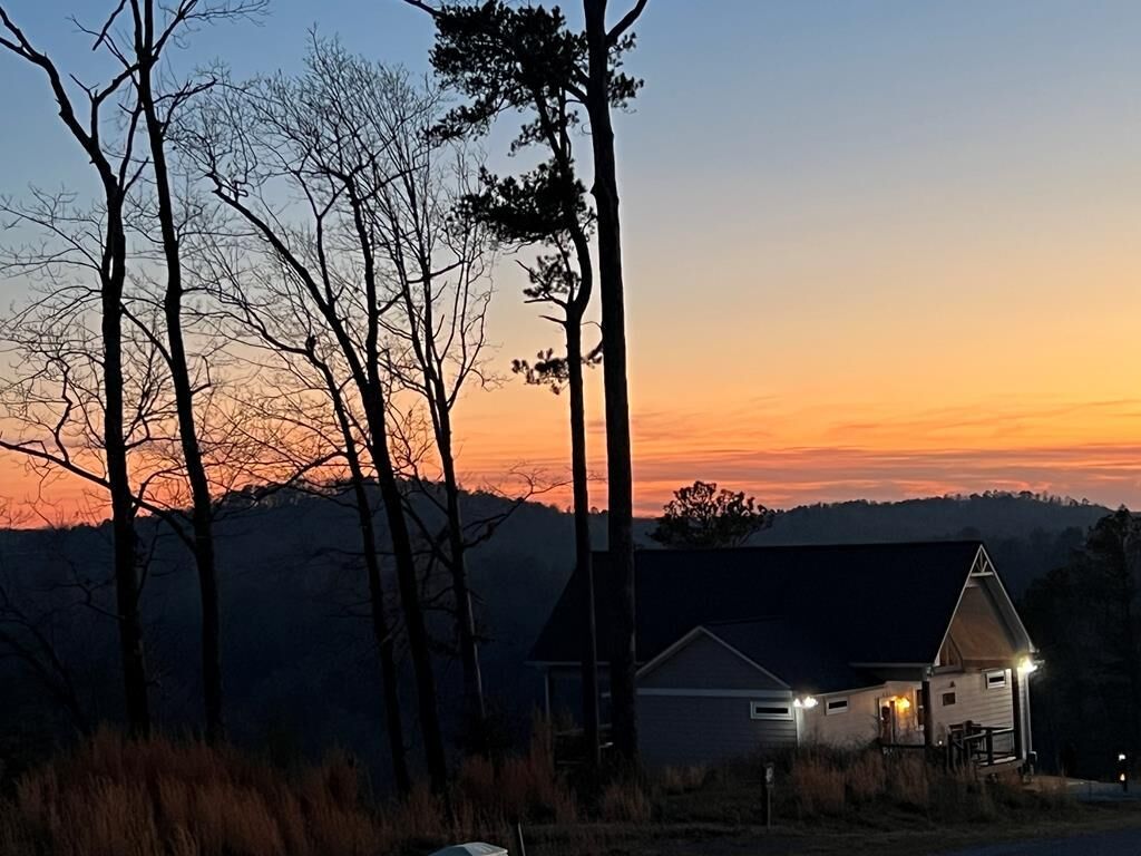 Property Photo:  497 S Jakes Landing Way  GA 30540 