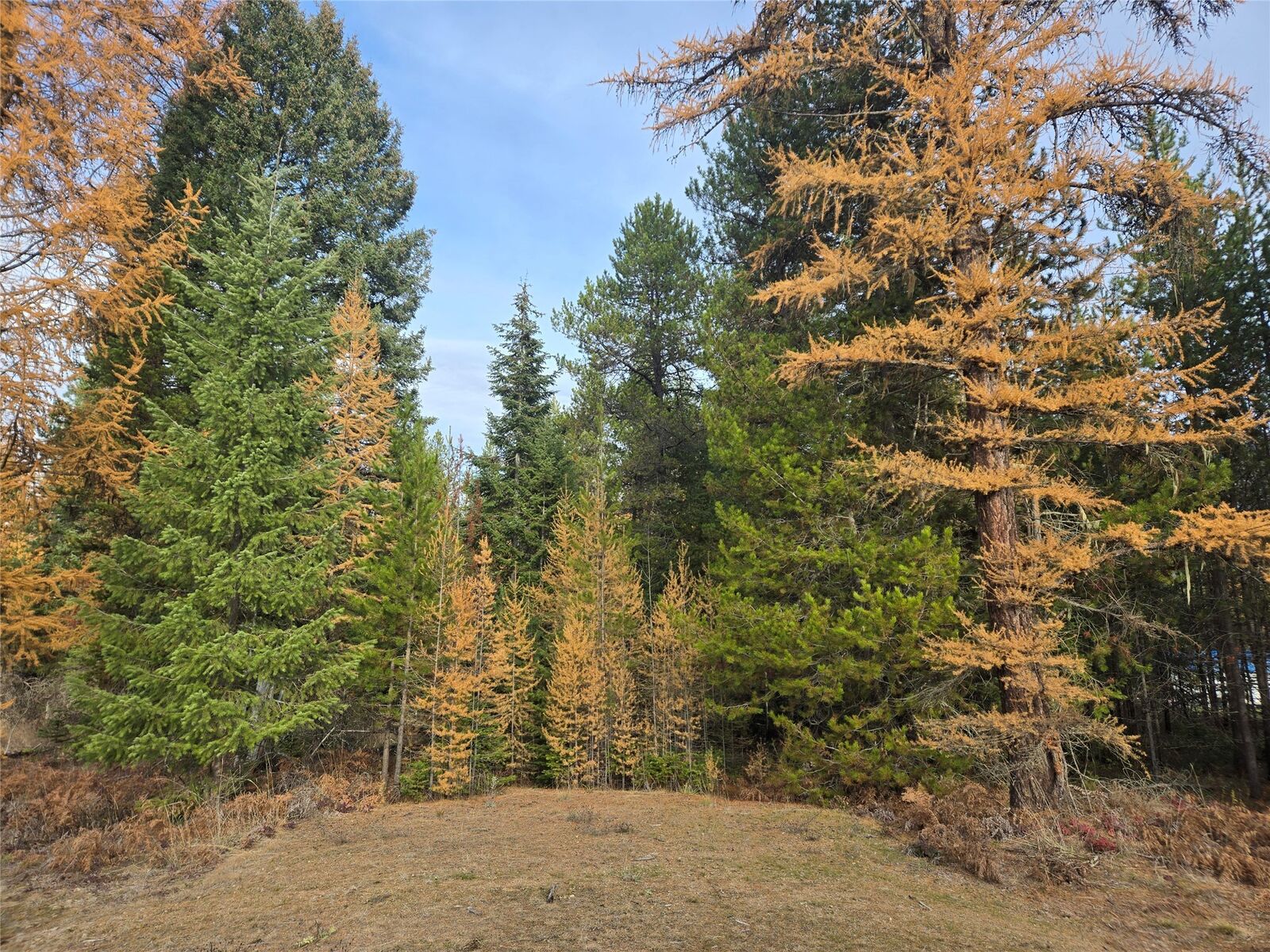 Property Photo:  Nhn Mt Hwy 200  MT 59874 
