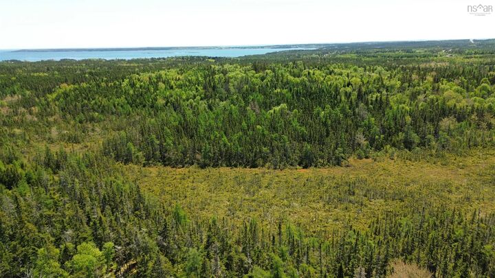 Property Photo:  320 Highway  NS B0E 1K0 