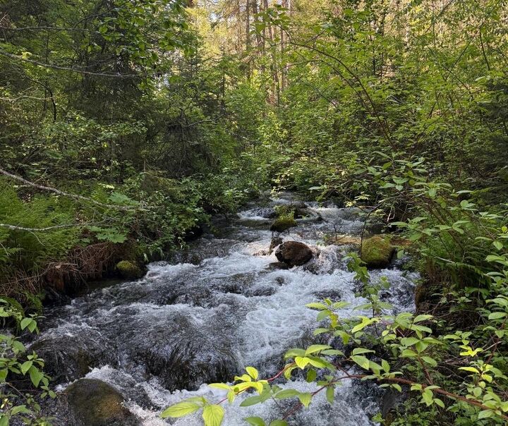 Property Photo: Dl 2401 Sucker Lake Road BC V0K 1P0
