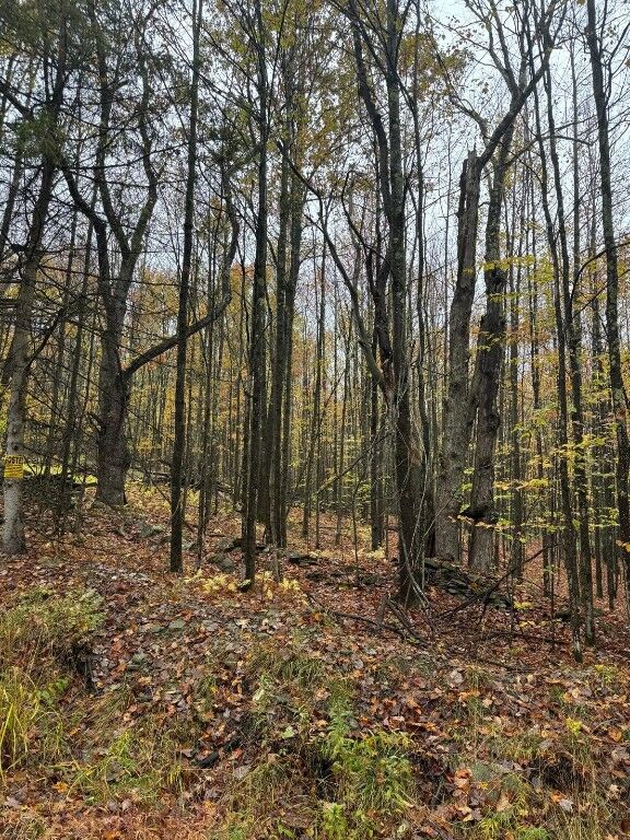 Property Photo:  83 Berry Road  NY 13730 