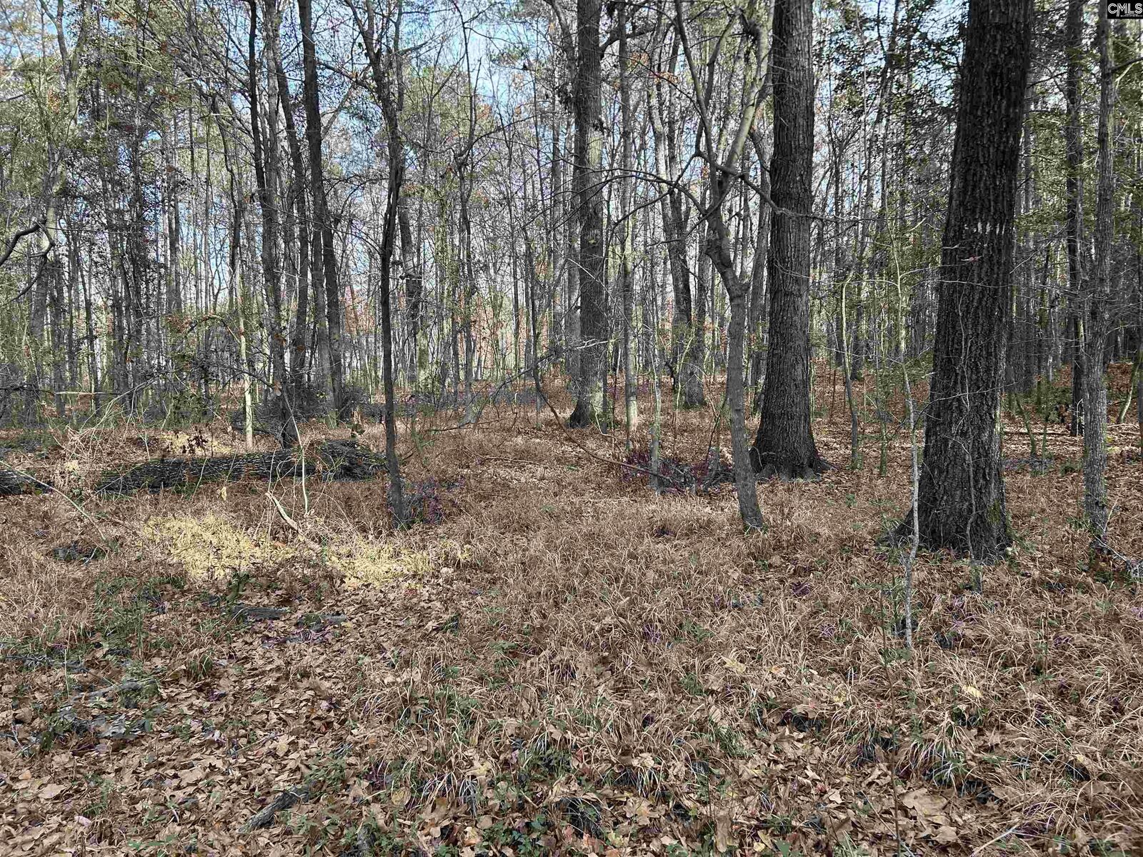 Property Photo:  440 Paschal  SC 29045 