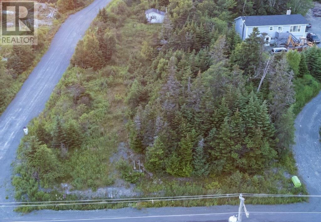 Property Photo:  638 Indian Meal Line  NL A1M 3E7 