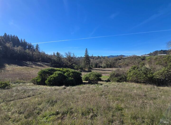 Property Photo: 0 Ridgewood Road CA 95490
