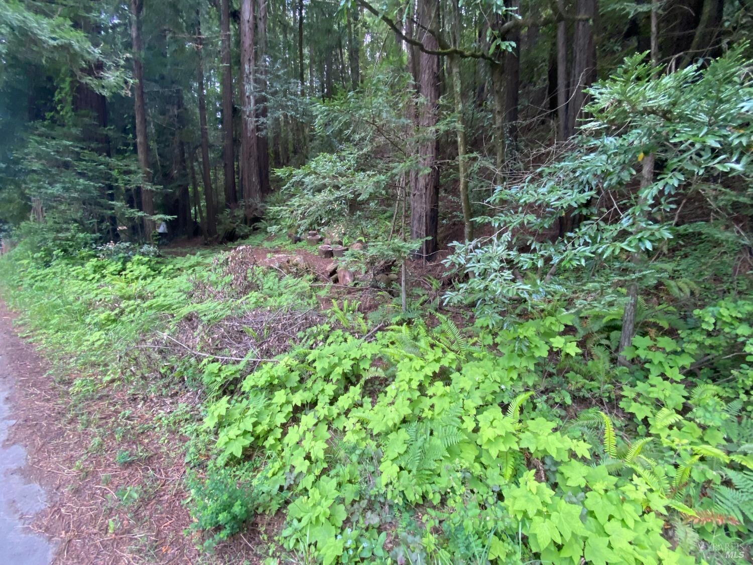 Property Photo:  925 Cazadero Highway  CA 95421 