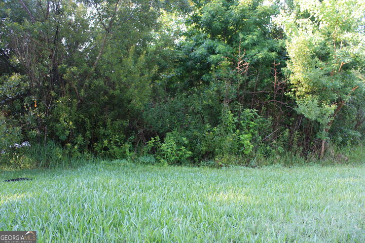Property Photo:  V/L 504 Holm Place  GA 31558 