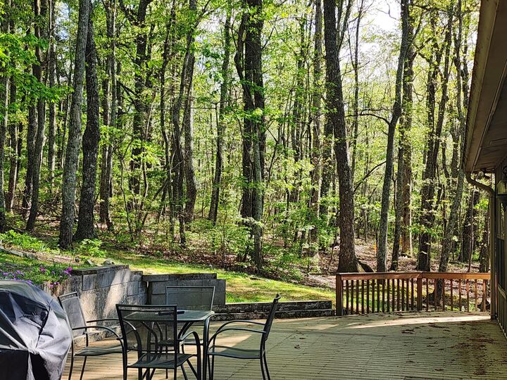 Property Photo:  73 County Road 66  AL 35967 