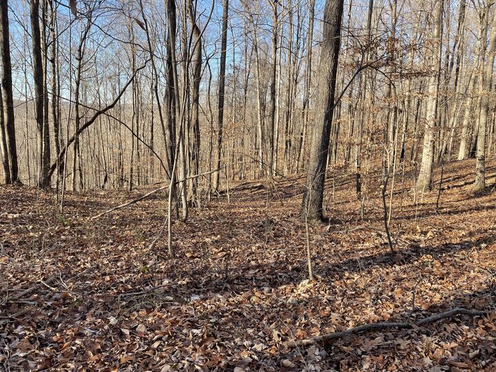 Property Photo: 2111 Dixie Bend Road KY 42519