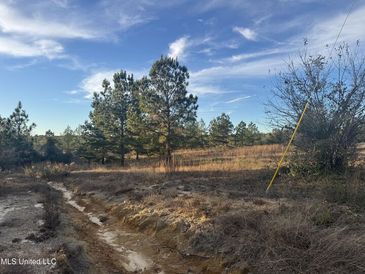 Property Photo:  5 Acres Parker Rd  MS 39561 