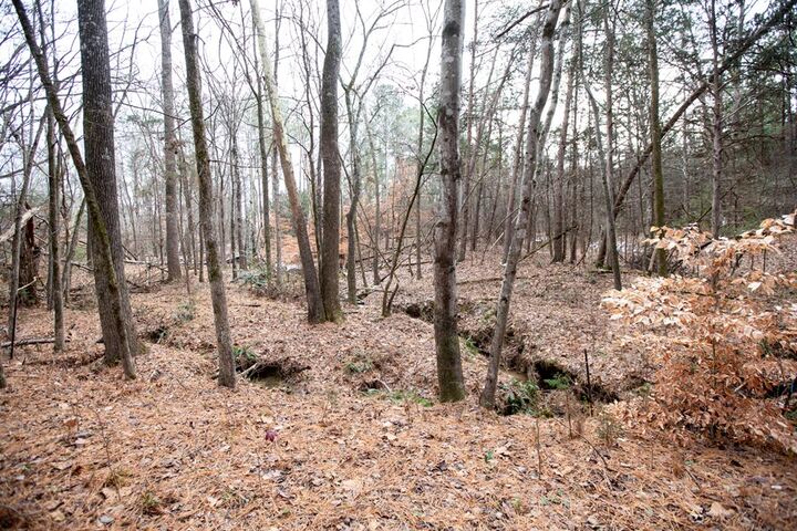 Property Photo: 107 Cabells Court VA 23901