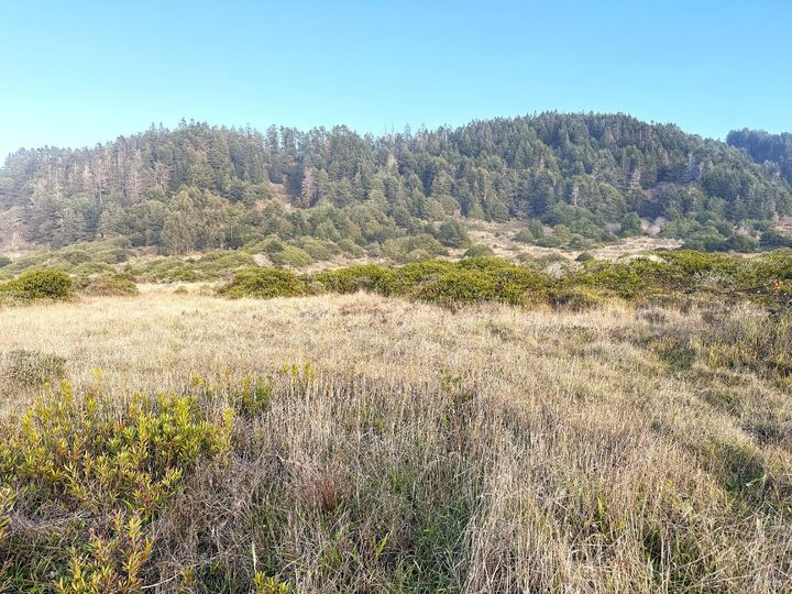 Property Photo:  40101 Ca 1  CA 95488 