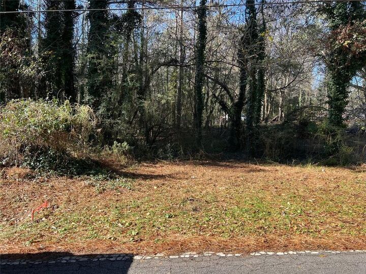 Property Photo: Lot 4 Miller Street GA 30122