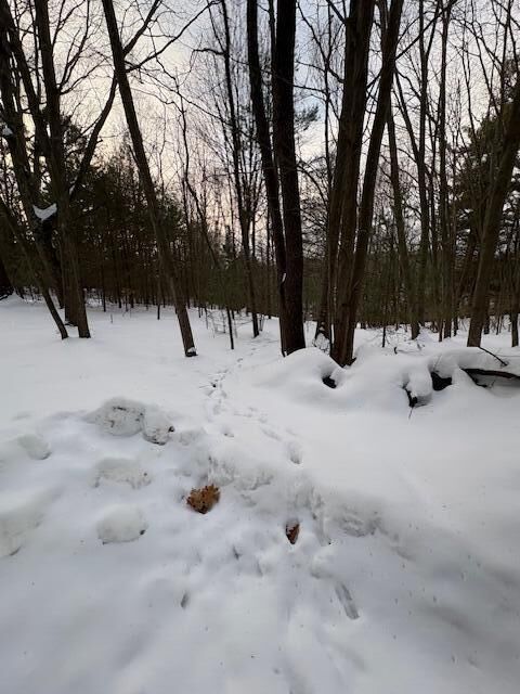 Property Photo:  Vl Bayou Road  MI 49437 