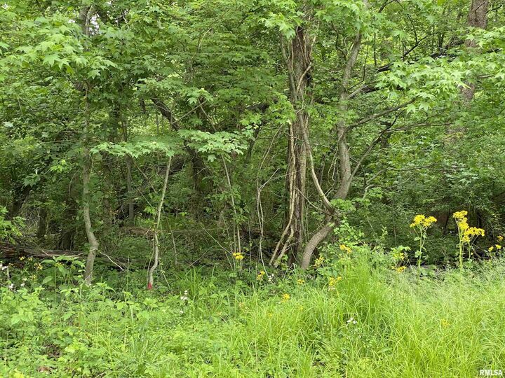Property Photo: Lot 4 Choctaw Drive IL 62901