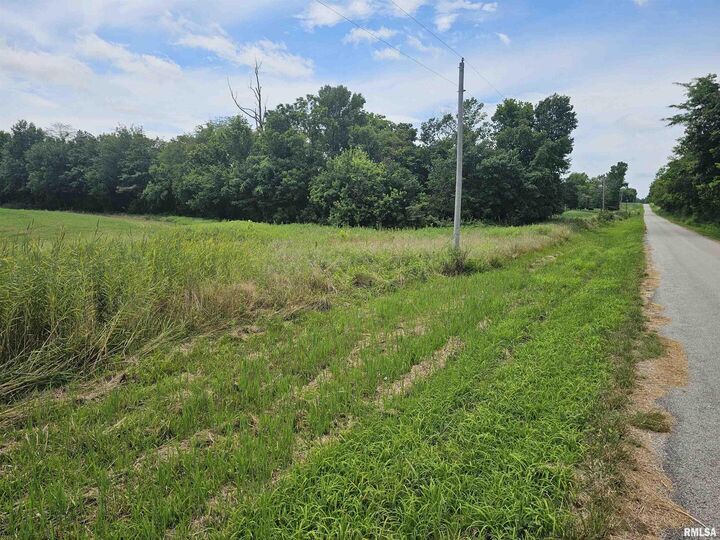 Property Photo:  0000 Roseborough Road  IL 62286 