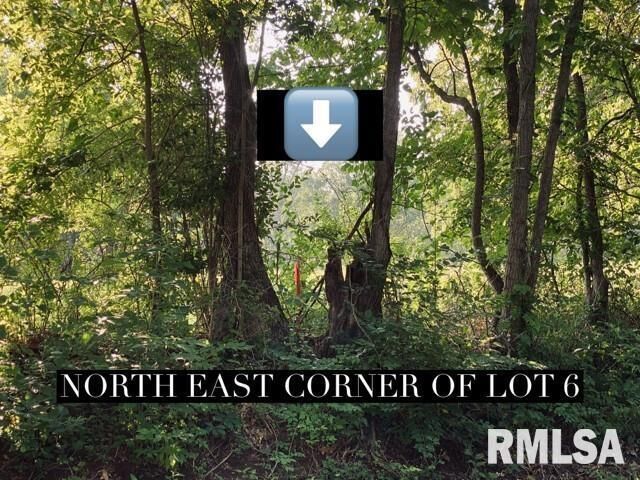 Property Photo: Lot 5 Falcon Road IL 62901
