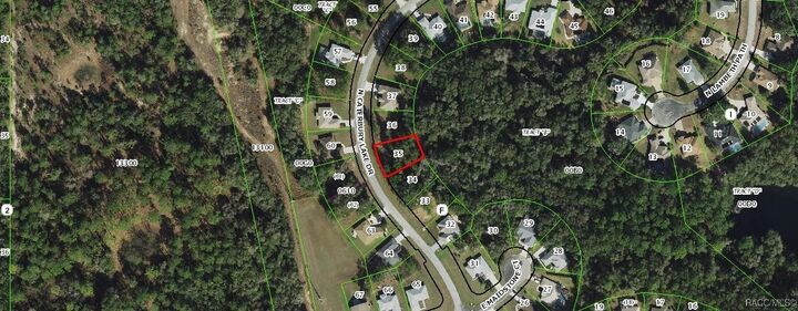 Property Photo:  3337 N Canterbury Lake Drive  FL 34442 