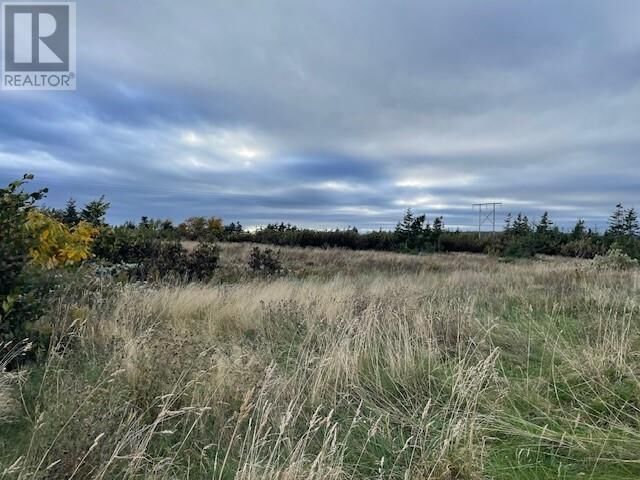 Property Photo:  Lot 2 McIsaac'S Lane  NL A0N 1T0 