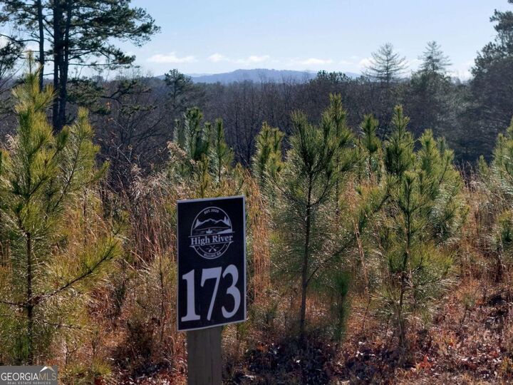 Property Photo: Lot 173 Lecroy Drive GA 30540